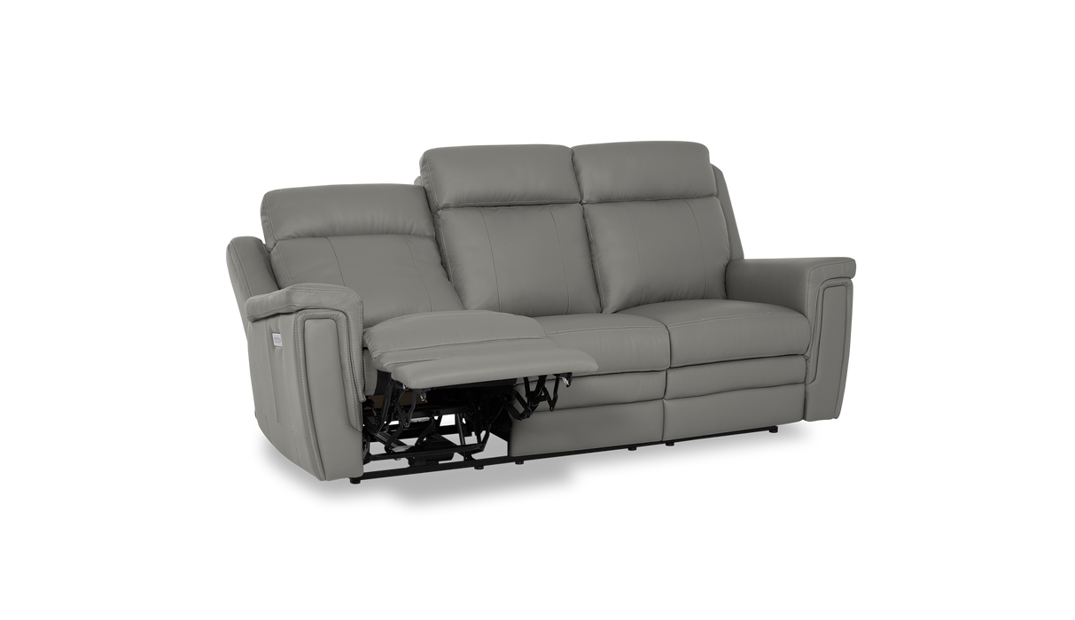 Palliser Customizable Sofa Asher - Alexandria Virginia & Washington DC