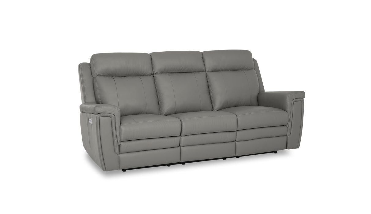 Palliser Customizable Sofa Asher - Alexandria Virginia & Washington DC