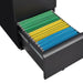 Giga metal 2-drawer locking filing cabinet with wheels, fits letter, legal, and A4 sizes, ideal for home office organization