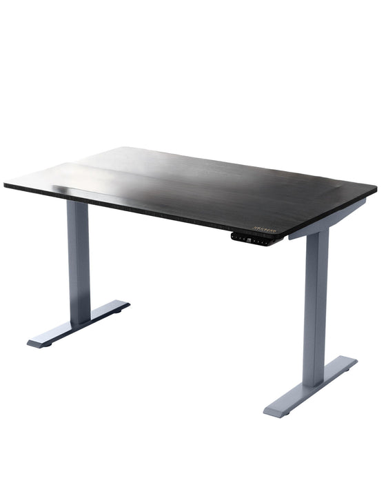 Adjustable Stainless Steel Computer Desk - Black And Gray