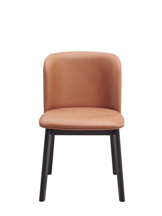 Upholstered Fabric Wing Back Dining Side Chairs (Set of 2) - Camel