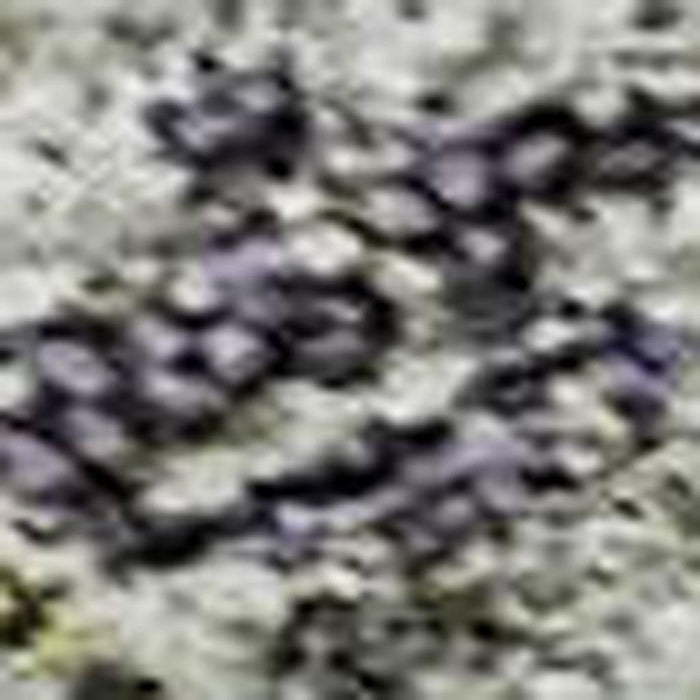 10' X 14' Tribal Washable Area Rug With UV Protection (688552) - Sage / Silver / Purple