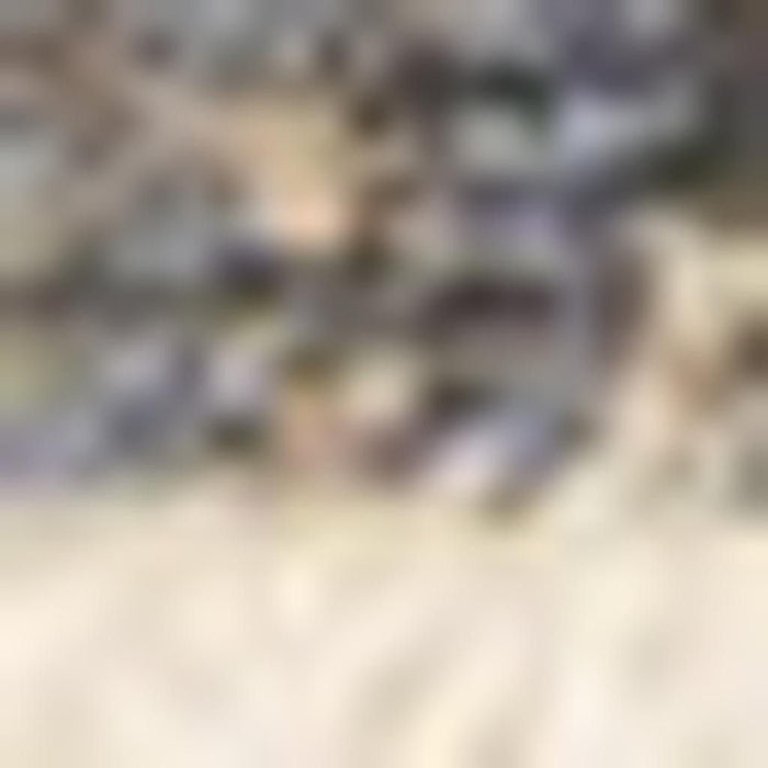 8' X 10' Abstract Area Rug (660254) - Beige / Blue