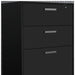 HomeRoots black wall-mounted accent cabinet with twelve shelves and six drawers for versatile storage and organization.