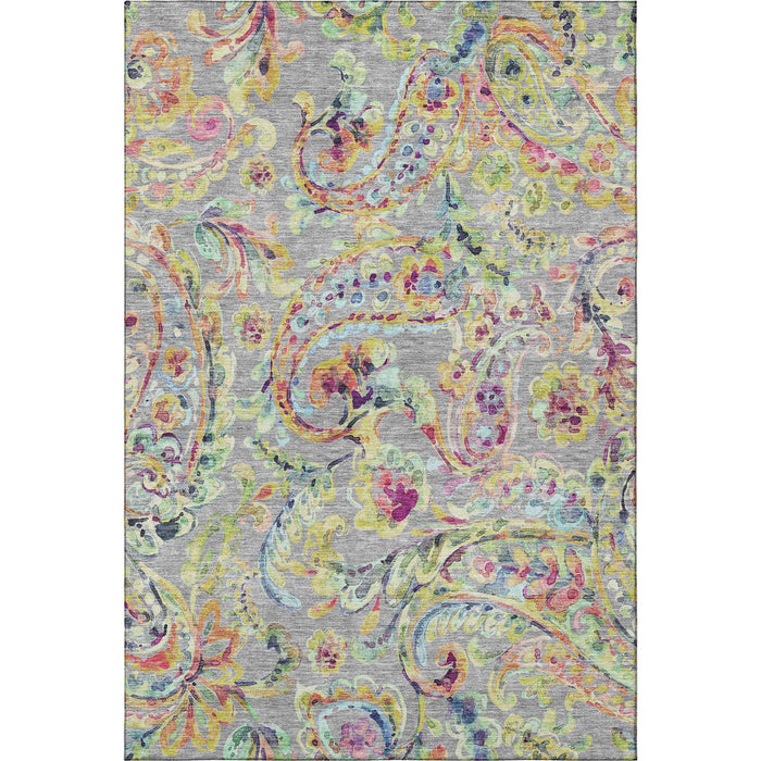 10' X 14' Paisley Washable Area Rug With UV Protection - Gray