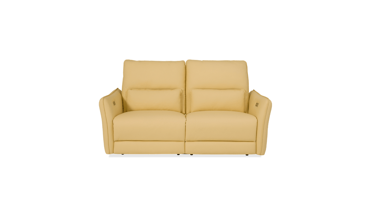 Palliser Customizable Sofa Chelsea - Alexandria Virginia & Washington DC
