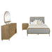 CoasterElevations Arini 4-piece Eastern King bedroom set with sand wash and grey finish, featuring a bed frame and matching furniture.