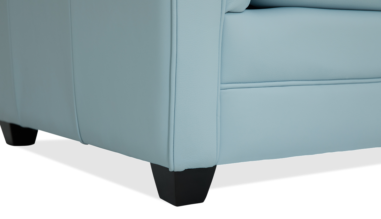 Palliser Customizable Sofa Corissa - Alexandria Virginia & Washington DC