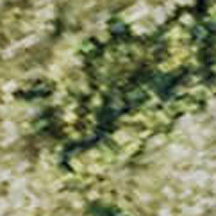 10' X 14' Abstract Washable Area Rug With UV Protection (699154) - Fern Green / Gold