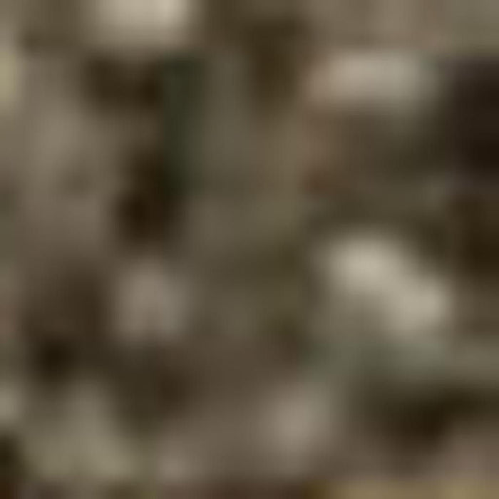 10' X 14' Abstract Washable Area Rug With UV Protection (706855) - Beige / Brown
