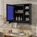 Giga modern wall-mounted medicine cabinet with adjustable shelf, soft-close door, and towel bar for bathroom storage.