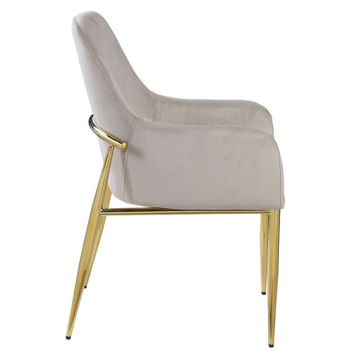 Velvet Wood Metal Dining Side Chairs (Set of 2) - Gray