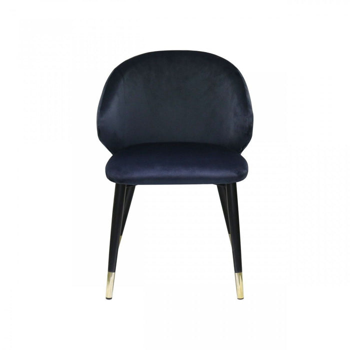 Upholstered Velvet Wing Back Dining Arm Chairs (Set of 2) - Blue