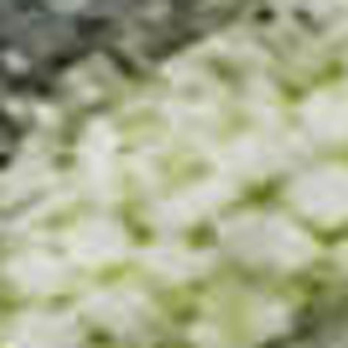 10' X 14' Abstract Washable Area Rug With UV Protection (697662) - Artichoke Green / Gray
