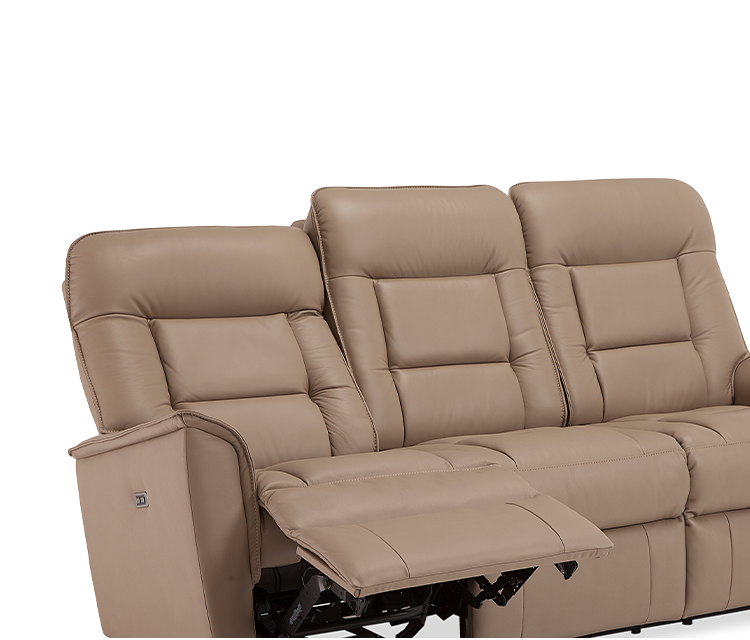 Palliser Customizable Sofa Dover - Alexandria Virginia & Washington DC