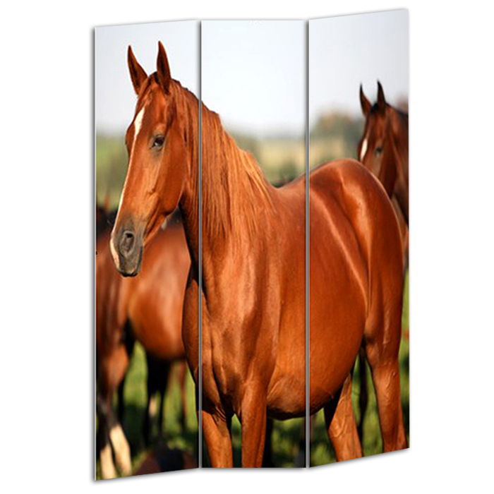 Wood Canvas Horse Screen - Multi Color