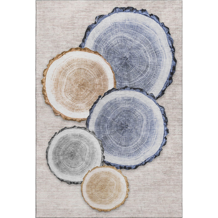 10' X 14' Faux Bois Washable Area Rug With UV Protection (649918) - Beige / Blue / Ivory