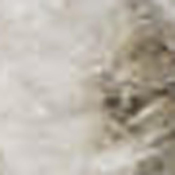 8' X 10' Floral Distressed Area Rug (556349) - Gray