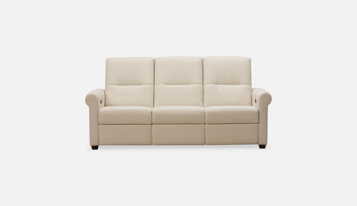Palliser Customizable Sofa Essex - Alexandria Virginia & Washington DC