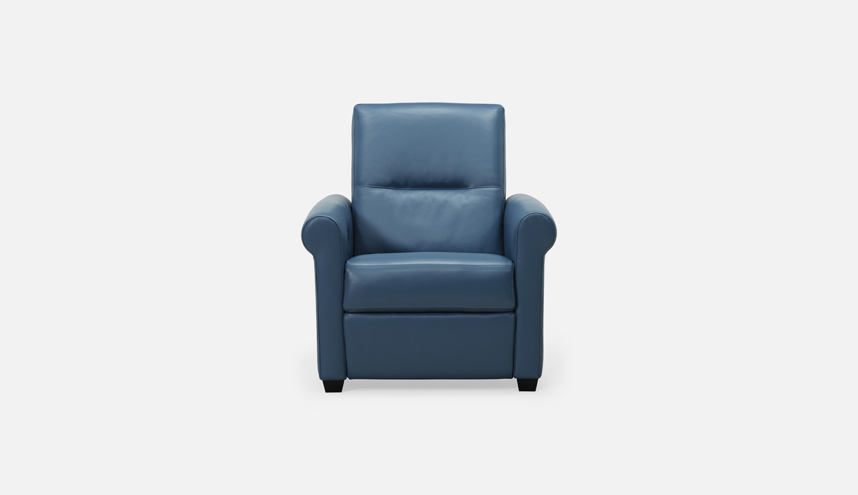 Palliser Customizable Recliners Essex - Alexandria Virginia & Washington DC