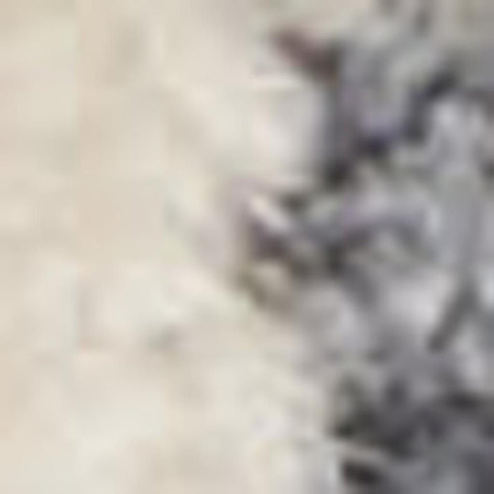 10' X 14' Floral Distressed Area Rug With Fringe (546451) - Ivory / Tan / Light Blue