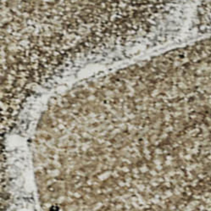 9' X 12' Abstract Washable Area Rug With UV Protection (647223) - Brown / Ivory / Gray