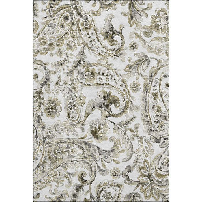 10' X 14' Paisley Washable Area Rug With UV Protection - Brown And Ivory