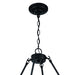 Black metal chandelier with twelve candle-style lights and shades, dimmable home decor lighting fixture by HomeRoots.