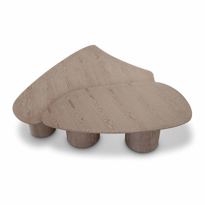 Rhema - Nesting Coffee Table (Set of 2) - Washed Ash
