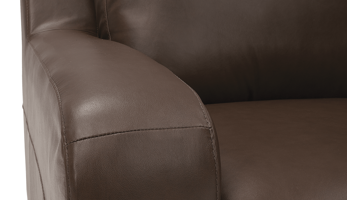 Palliser Customizable Sofa Flex- Alexandria Virginia & Washington DC