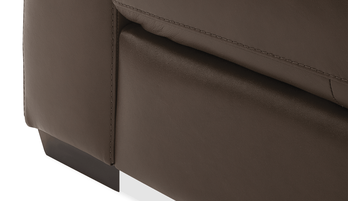 Palliser Customizable Sofa Flex- Alexandria Virginia & Washington DC