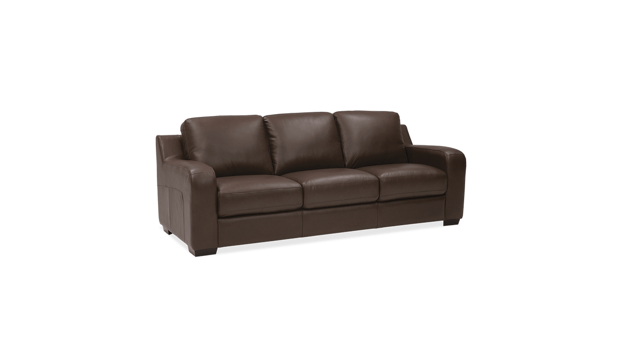 Palliser Customizable Sofa Flex- Alexandria Virginia & Washington DC