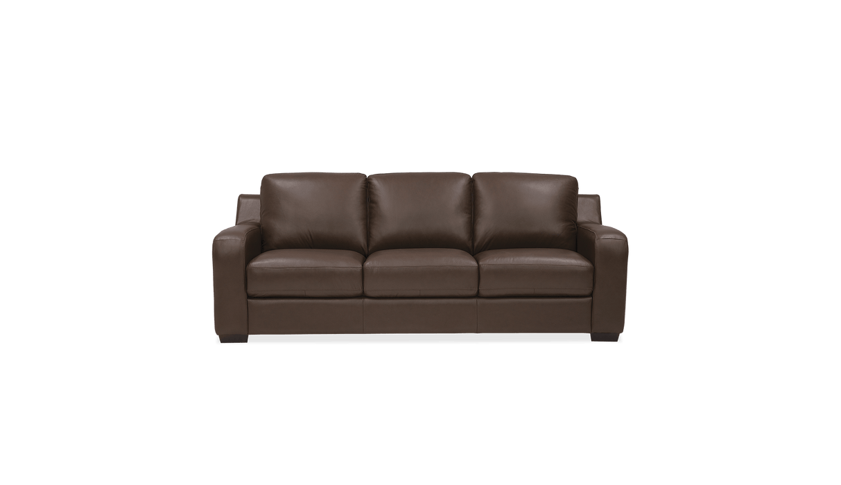 Palliser Customizable Sofa Flex- Alexandria Virginia & Washington DC