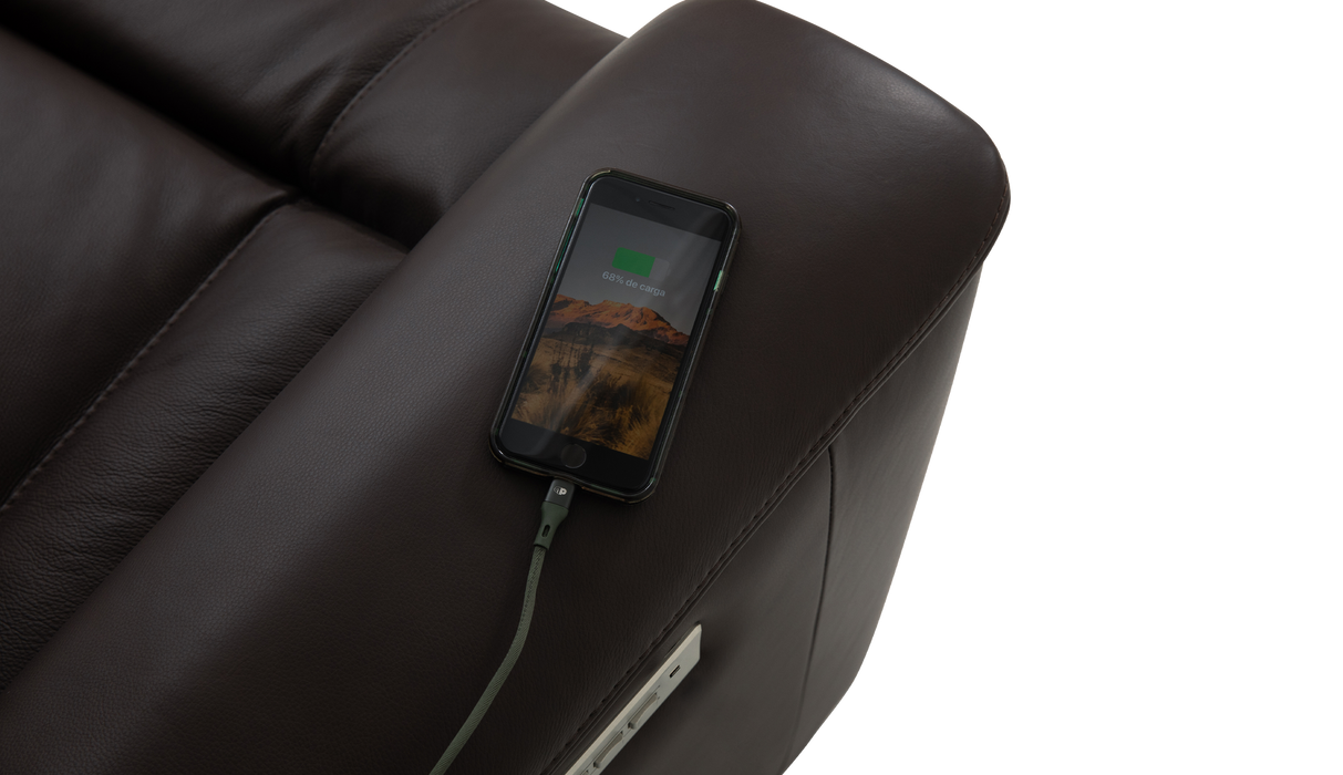 Palliser Customizable Sofa Hastings - Alexandria Virginia & Washington DC