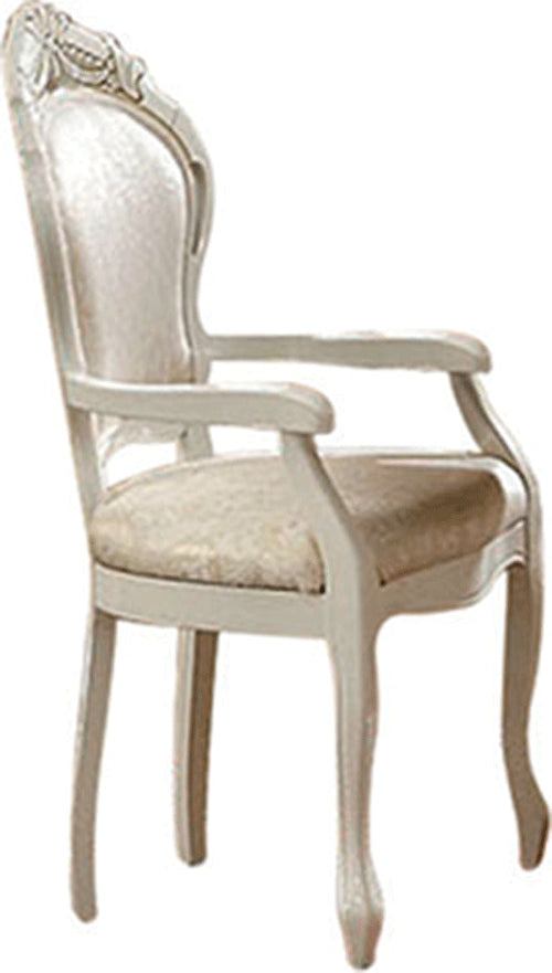 ESF Camelgroup Italy Leonardo Arm Chair i18596