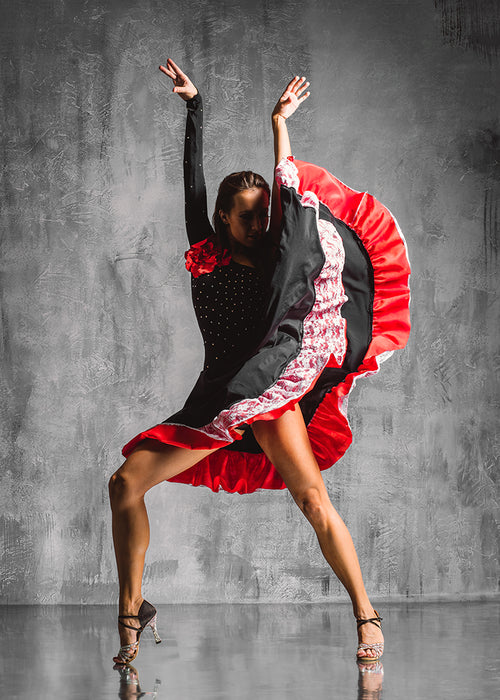 J & M Furniture Wall Art Flamenco wall decor featuring vibrant flamenco dancer illustration on a decorative canvas.