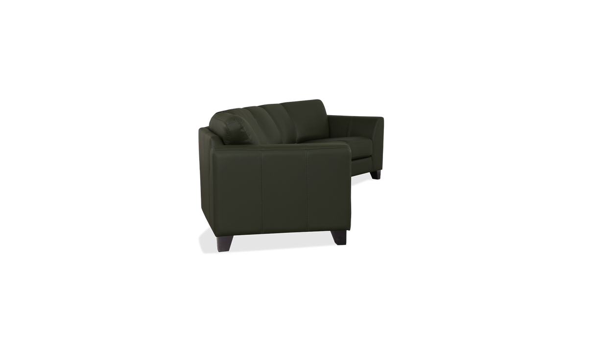 Palliser Customizable Sectional Juno - Alexandria Virginia & Washington DC