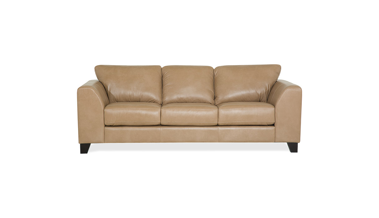 Palliser Customizable Sofa Juno - Alexandria Virginia & Washington DC