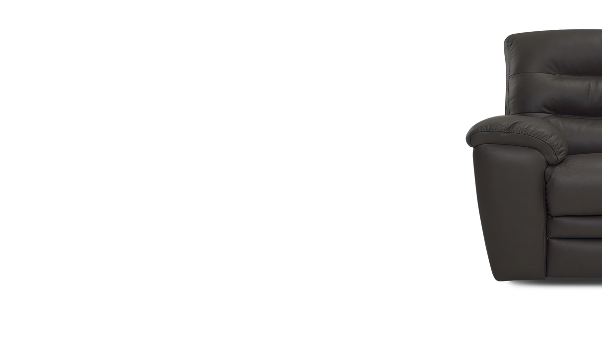 Palliser Customizable Sofa Keiran - Alexandria Virginia & Washington DC