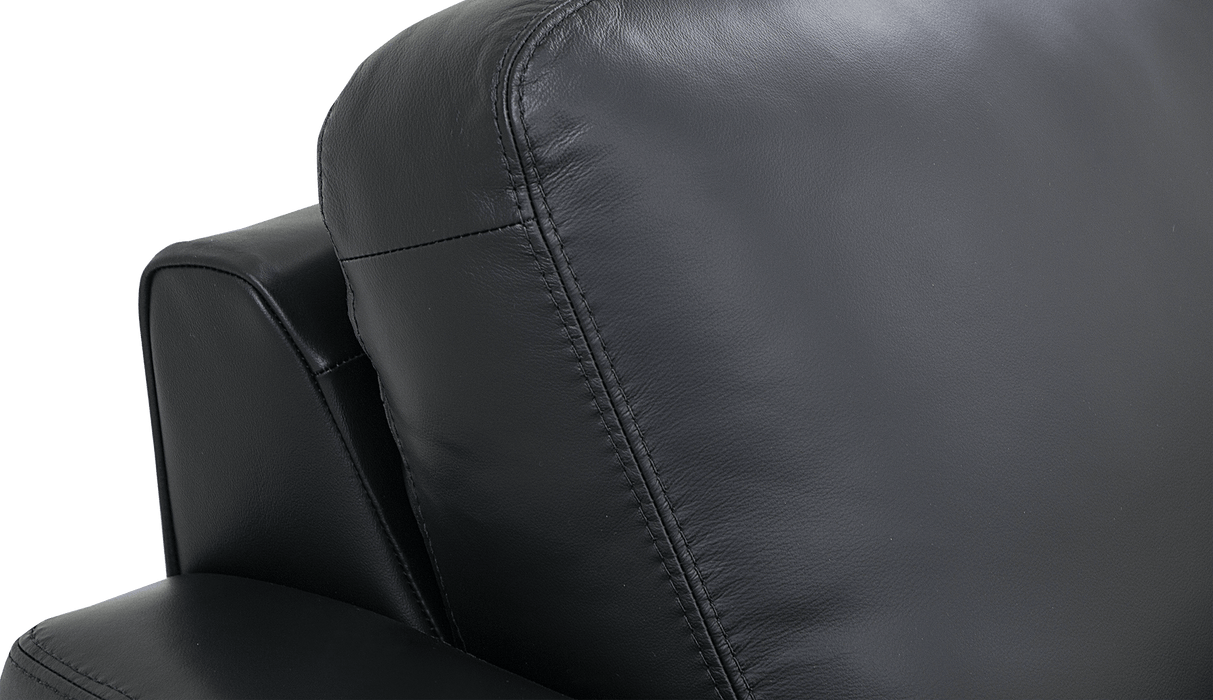 Palliser Customizable Sofa Leeds - Alexandria Virginia & Washington DC