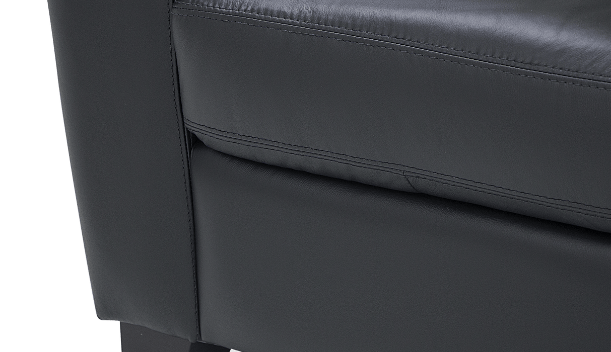 Palliser Customizable Sofa Leeds - Alexandria Virginia & Washington DC