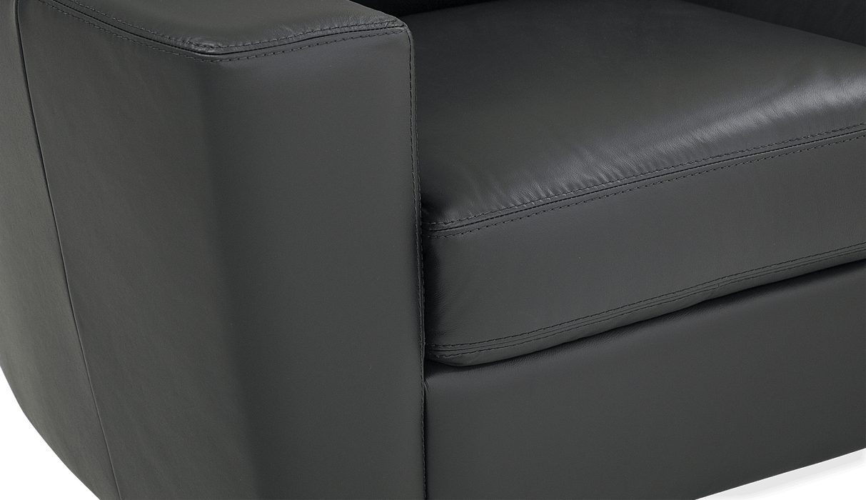 Palliser Customizable Sofa Leeds - Alexandria Virginia & Washington DC