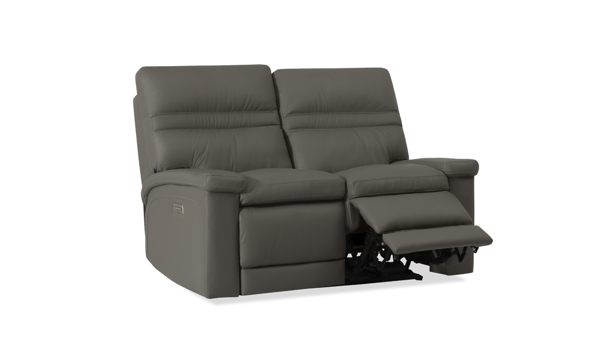 Palliser Customizable Loveseat Leo - Alexandria Virginia & Washington DC