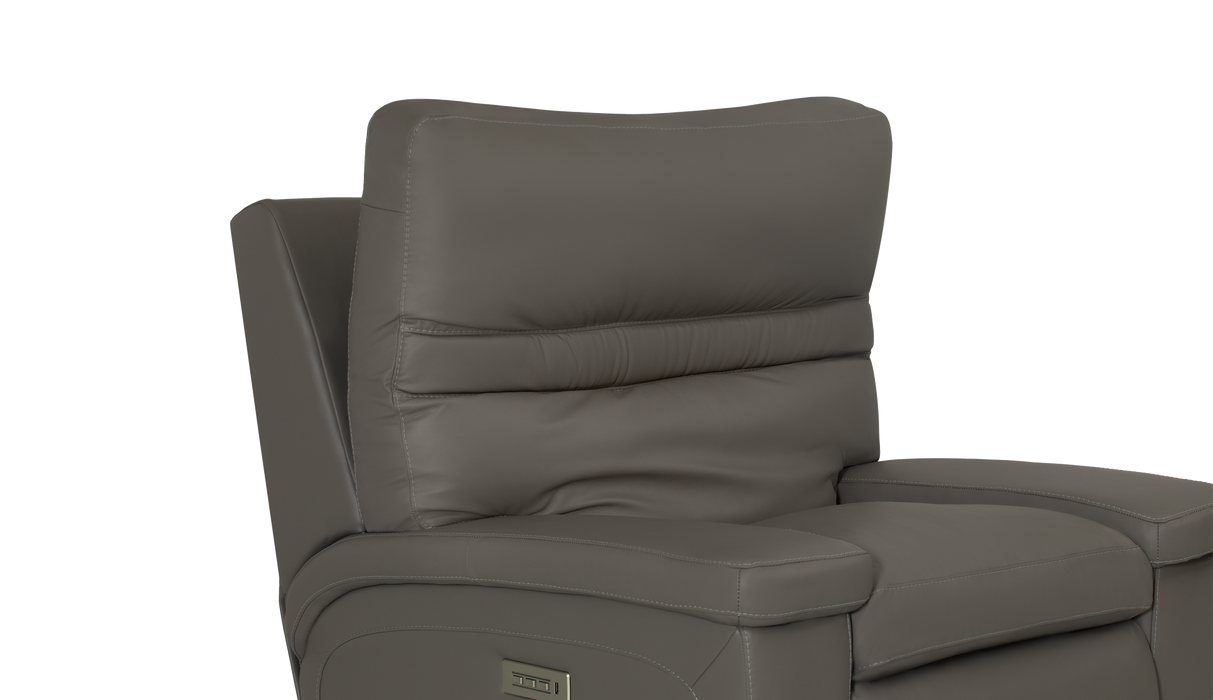 Palliser Customizable Recliners Leo - Alexandria Virginia & Washington DC