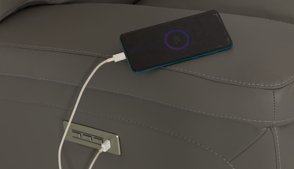 Palliser Customizable Recliners Leo - Alexandria Virginia & Washington DC