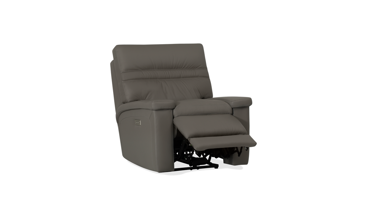 Palliser Customizable Recliners Leo - Alexandria Virginia & Washington DC