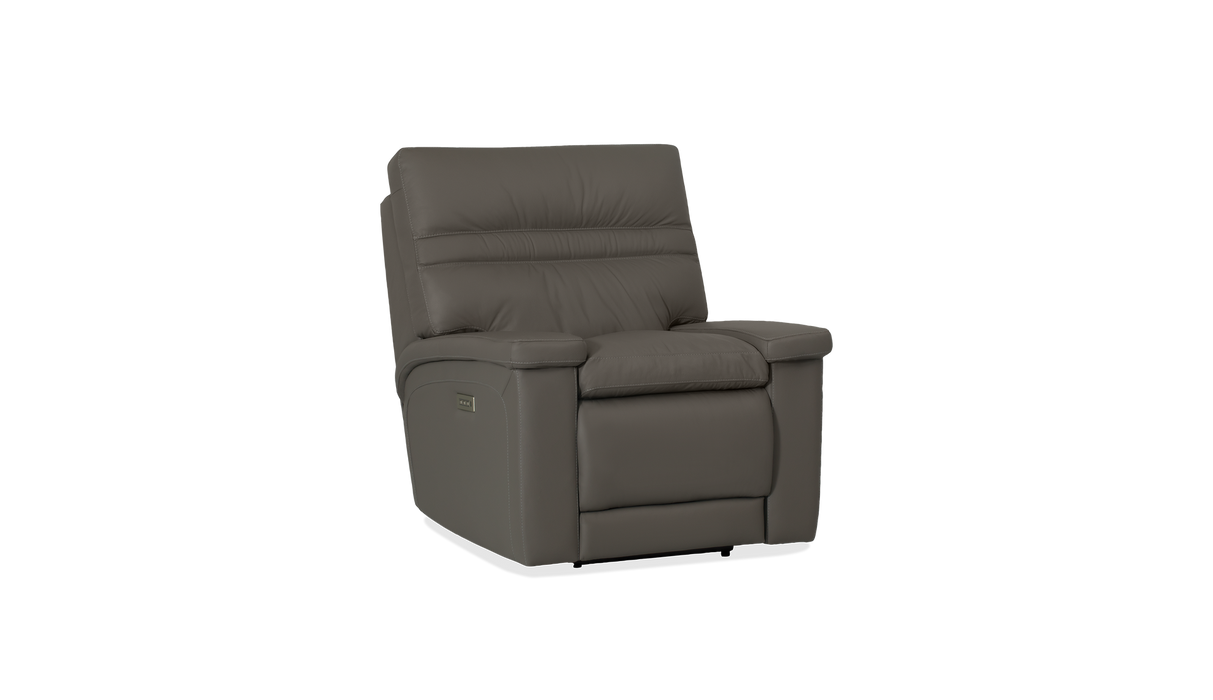 Palliser Customizable Recliners Leo - Alexandria Virginia & Washington DC