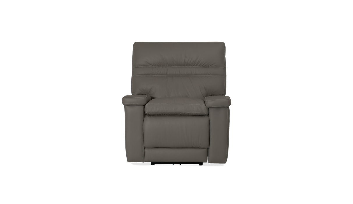Palliser Customizable Recliners Leo - Alexandria Virginia & Washington DC