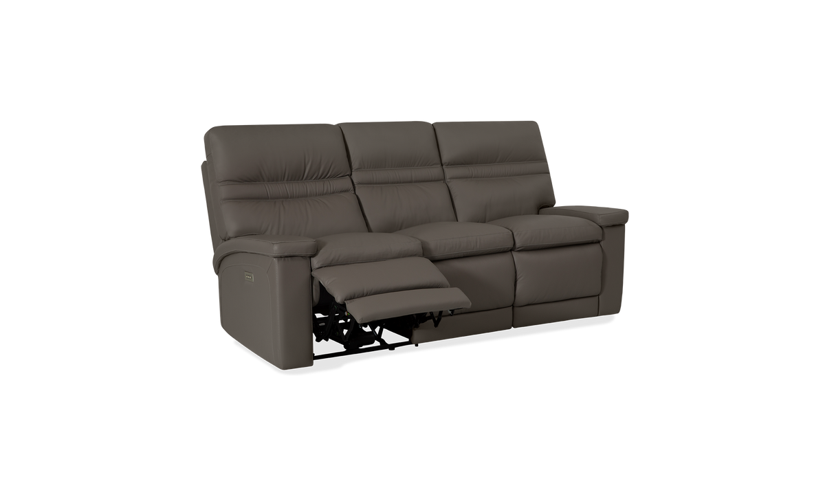 Palliser Customizable Sofa Leo - Alexandria Virginia & Washington DC