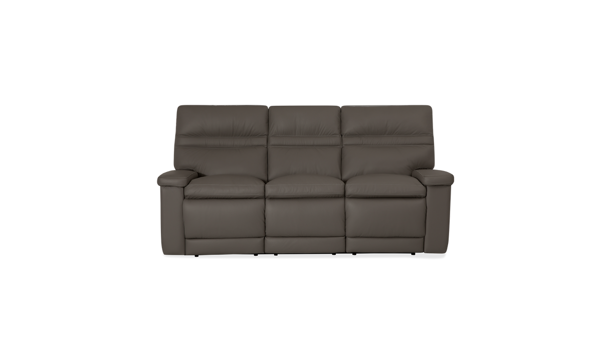 Palliser Customizable Sofa Leo - Alexandria Virginia & Washington DC